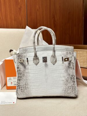 Home Hermès Birkin 25 Himalaya Crocodile Palladium Hardware