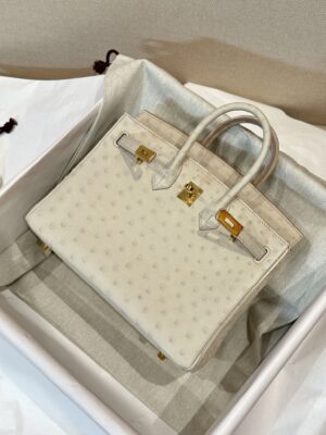 Home Hermès Birkin 25 Beton Ostrich Gold Hardware